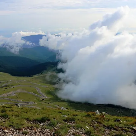 Transalpina Ranca
